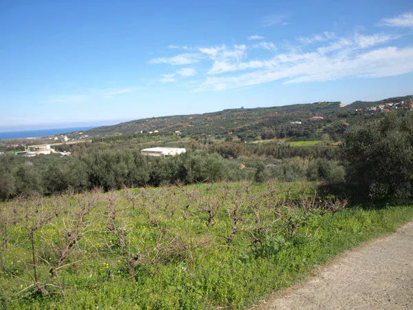 Seafront 1,000 m² Plot of Land for Sale in Polemarchi, Platanias — photo 5