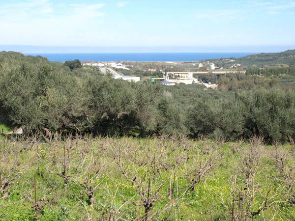 Seafront 1,000 m² Plot of Land for Sale in Polemarchi, Platanias — photo 3