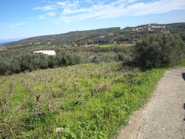 Seafront 1,000 m² Plot of Land for Sale in Polemarchi, Platanias — photo 4