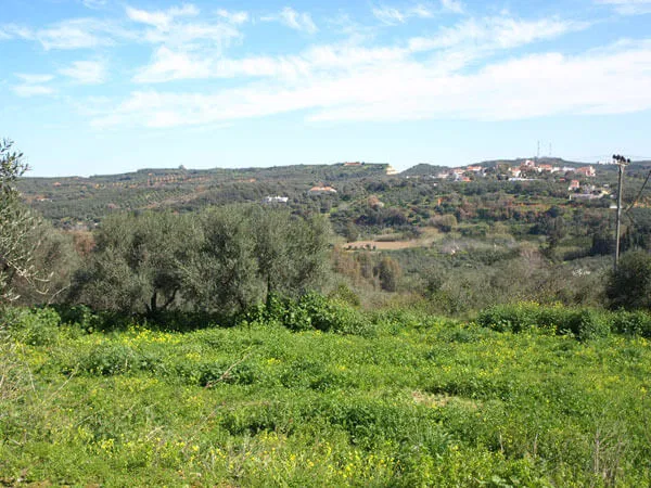Seafront 1,000 m² Land for Sale in Polemarchi, Platanias
