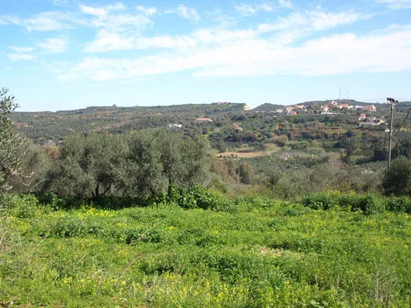 Seafront 1,000 m² Land for Sale in Polemarchi, Platanias