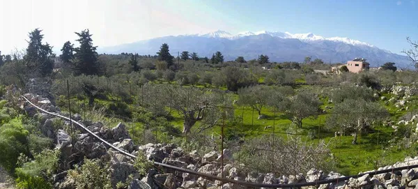 Seafront 2,312 m² Plot of Land for Sale in Litsarda, Apokoronas — photo 3