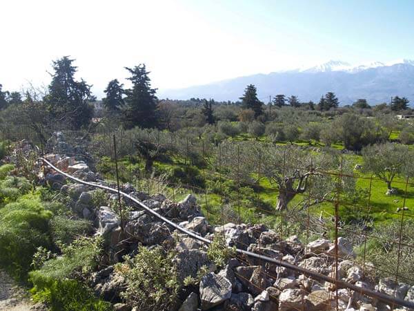 Seafront 2,312 m² Plot of Land for Sale in Litsarda, Apokoronas — photo 4