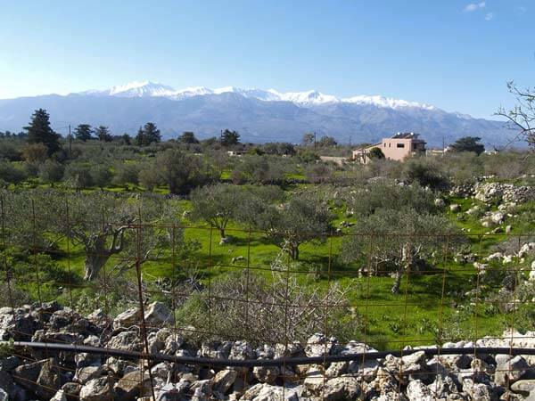Seafront 2,312 m² Plot of Land for Sale in Litsarda, Apokoronas