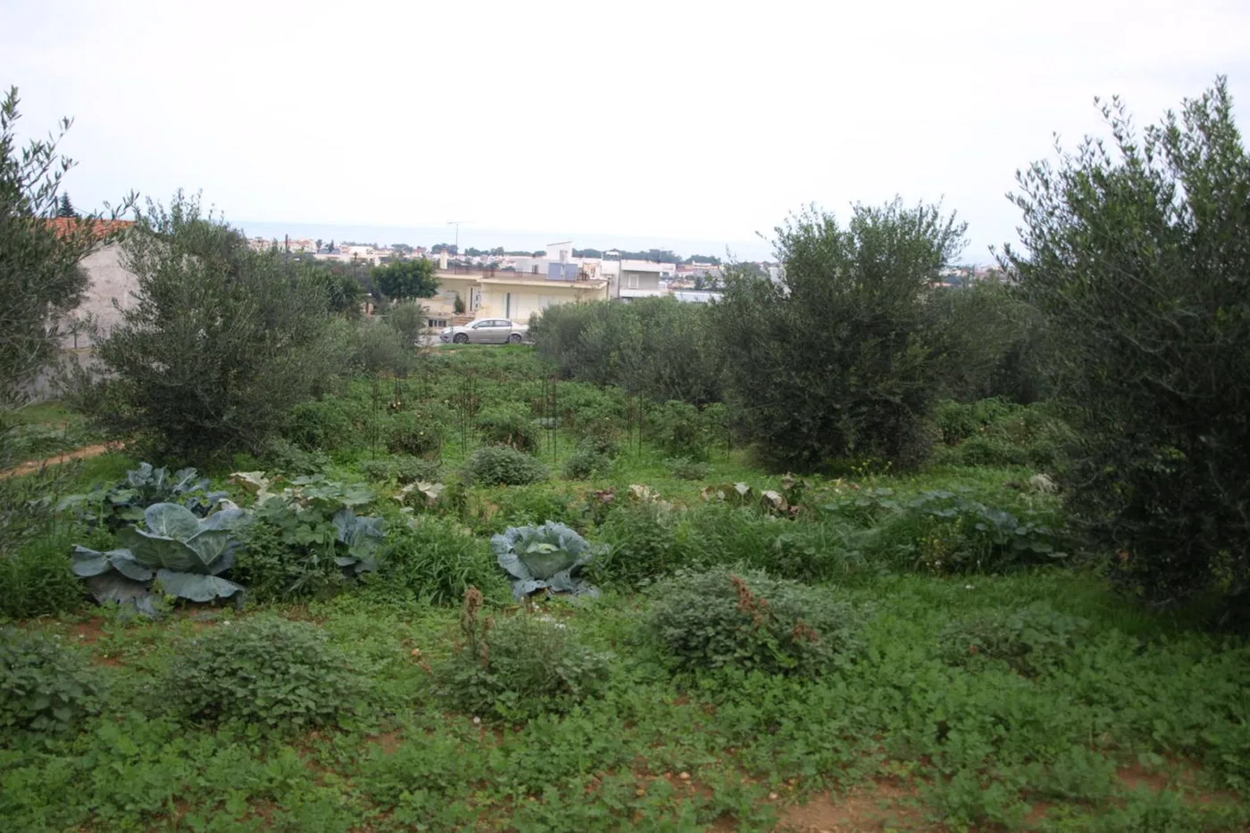 Seafront 2,295 m² Land for Sale in Daratso, Chania