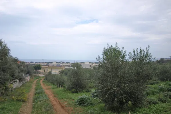 Seafront 2,295 m² Land for Sale in Daratso, Chania — photo 4