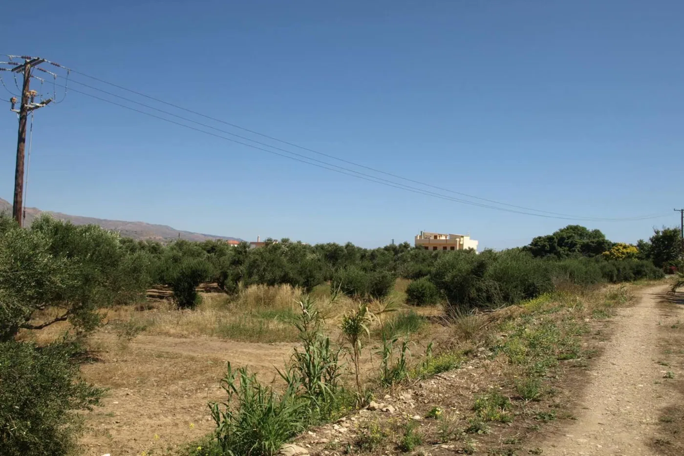 Seafront 10,500 m² Plot for Sale in Kolymbari, Platanias