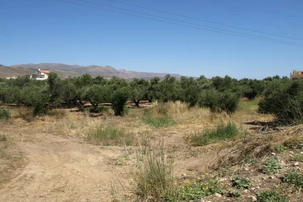 Seafront 10,500 m² Plot for Sale in Kolymbari, Platanias — photo 2