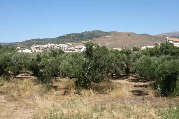 Seafront 10,500 m² Plot for Sale in Kolymbari, Platanias — photo 3