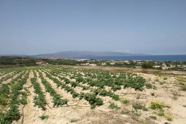 Seafront 35,196 m² Land for Sale in Platanias, Chania — photo 2