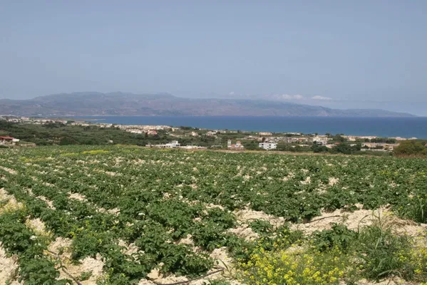 Seafront 35,196 m² Land for Sale in Platanias, Chania — photo 3