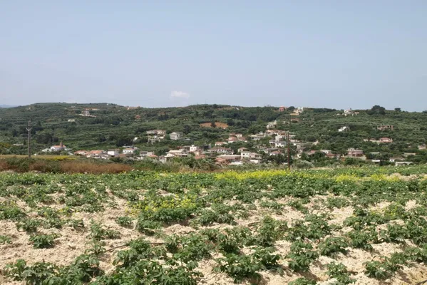 Seafront 35,196 m² Land for Sale in Platanias, Chania — photo 4