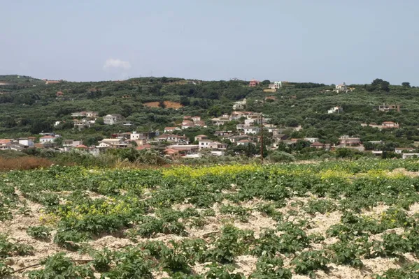 Seafront 35,196 m² Land for Sale in Platanias, Chania — photo 5