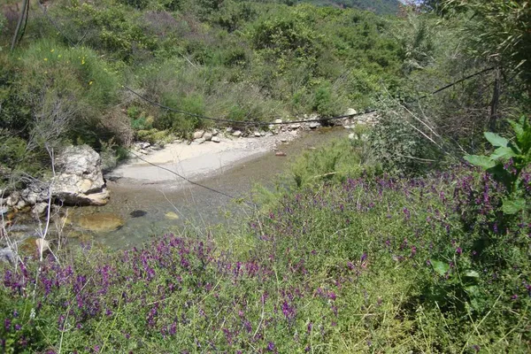 Seafront 19,230 m² Plot for Sale in Sirili, Platanias — photo 3