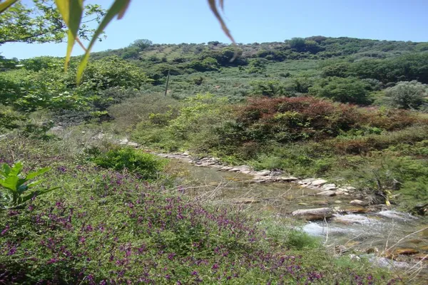 Seafront 19,230 m² Plot for Sale in Sirili, Platanias — photo 2