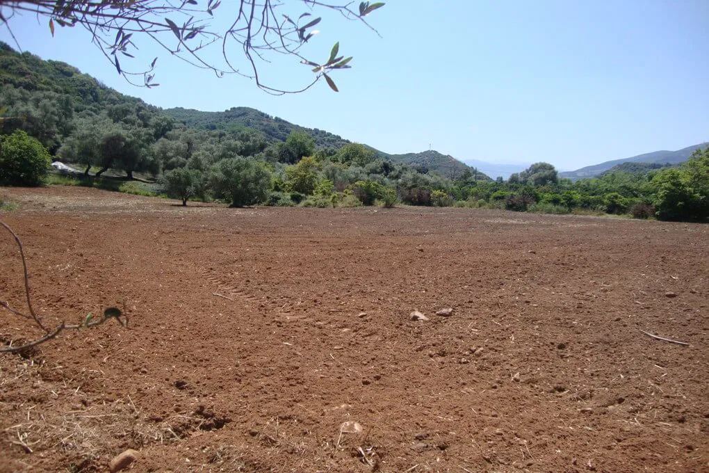 Seafront 19,230 m² Plot for Sale in Sirili, Platanias