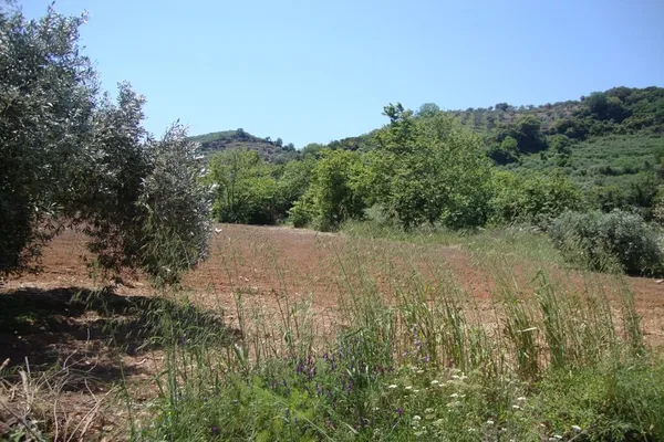 Seafront 19,230 m² Plot for Sale in Sirili, Platanias — photo 5