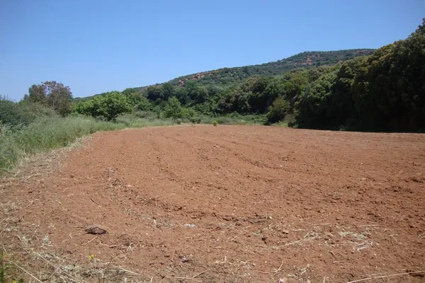 Seafront 19,230 m² Plot for Sale in Sirili, Platanias — photo 4