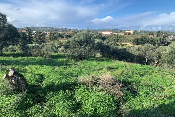 Seafront 4,497 m² Land for Sale in Modi, Platanias — photo 3