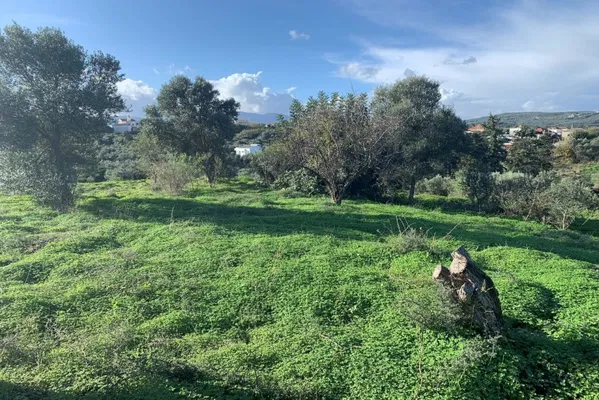 Seafront 4,497 m² Land for Sale in Modi, Platanias — photo 4