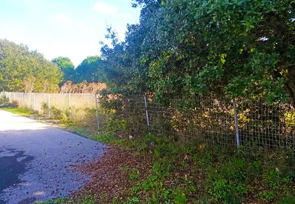 Seafront 1,000 m² Plot of Land for Sale in Pazinos, Akrotiri — photo 4