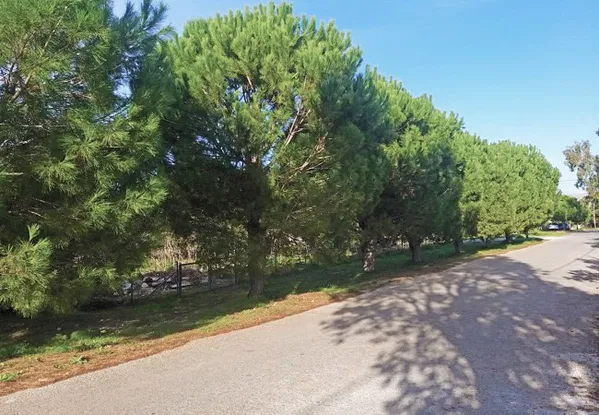 Seafront 1,000 m² Plot of Land for Sale in Pazinos, Akrotiri — photo 3
