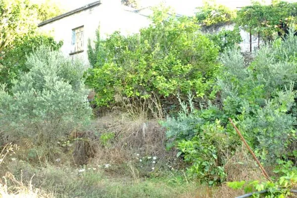 Seafront 1,180 m² Land for Sale in Malathiros, Kissamos — photo 3