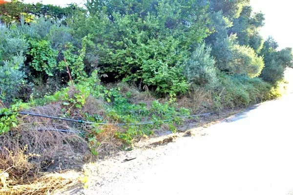 Seafront 1,180 m² Land for Sale in Malathiros, Kissamos — photo 4