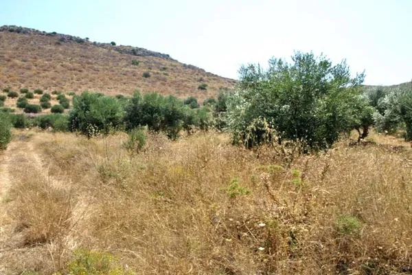 Sea-View 1,000 m² Land for Sale in Kissamos, Chania — photo 4