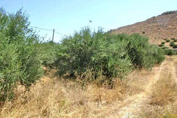 Sea-View 1,000 m² Land for Sale in Kissamos, Chania — photo 2