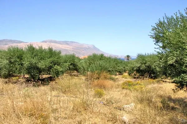 Sea-View 1,000 m² Land for Sale in Kissamos, Chania — photo 5