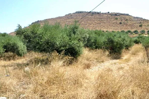 Sea-View 1,000 m² Land for Sale in Kissamos, Chania — photo 3