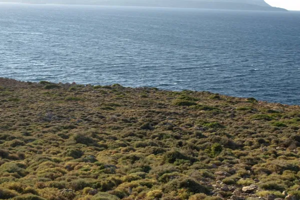 25,000 m² Plot for Sale in Kokkino Chorio, Apokoronas — photo 2