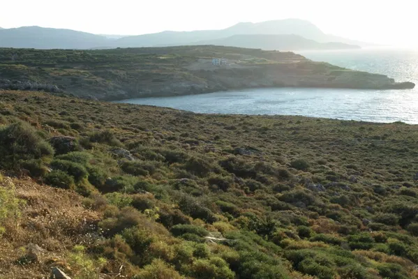 25,000 m² Plot for Sale in Kokkino Chorio, Apokoronas