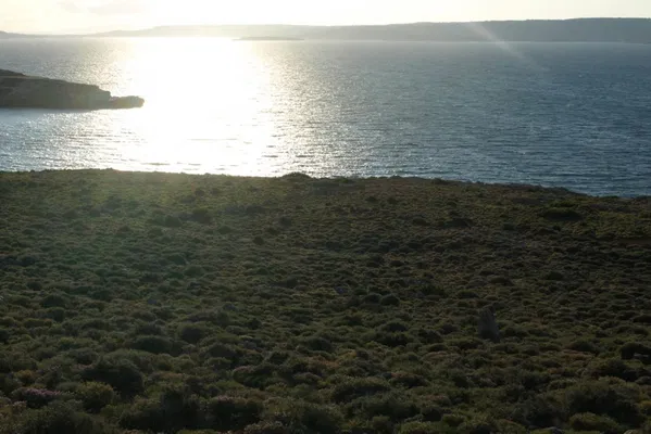 25,000 m² Plot for Sale in Kokkino Chorio, Apokoronas — photo 5