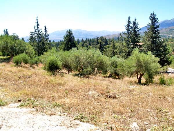 Seafront 3,781 m² Plot of Land for Sale in Fres, Apokoronas — photo 4