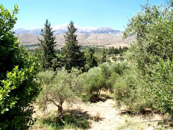 Seafront 3,781 m² Plot of Land for Sale in Fres, Apokoronas — photo 2