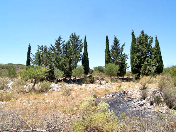Seafront 13,000 m² Plot of Land for Sale in Litsarda, Apokoronas — photo 4