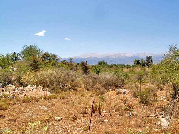 Seafront 13,000 m² Plot of Land for Sale in Litsarda, Apokoronas