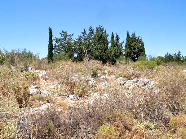 Seafront 13,000 m² Plot of Land for Sale in Litsarda, Apokoronas — photo 3