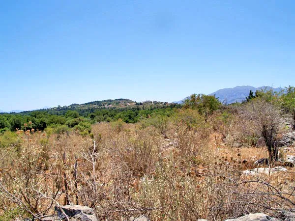 Seafront 13,000 m² Plot of Land for Sale in Litsarda, Apokoronas — photo 2