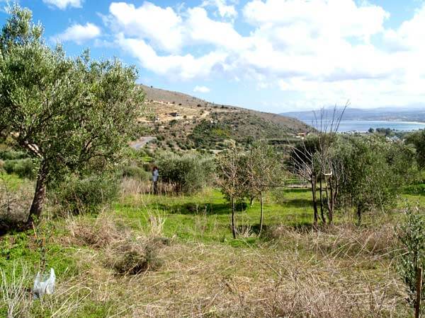 Seafront 2,134 m² Plot of Land for Sale in Exopolis, Apokoronas — photo 4