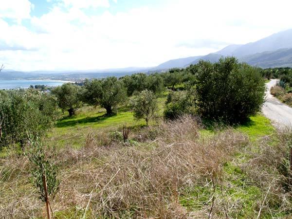 Seafront 2,134 m² Plot of Land for Sale in Exopolis, Apokoronas — photo 5