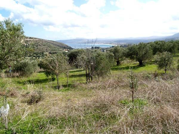 Seafront 2,134 m² Plot of Land for Sale in Exopolis, Apokoronas