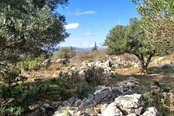 Seafront 2,500 m² Plot for Sale in Kefalas, Apokoronas — photo 4