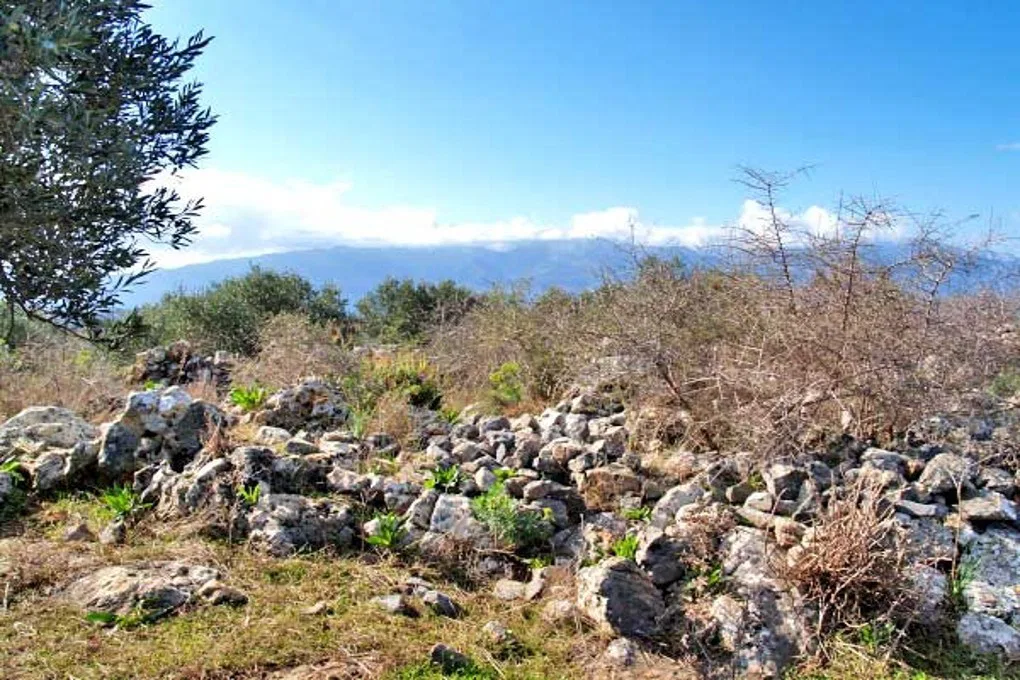 Seafront 2,500 m² Plot for Sale in Kefalas, Apokoronas