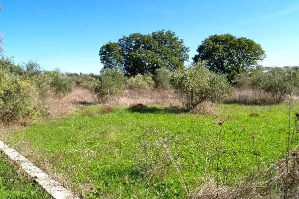 Seafront 2,045 m² Plot of Land for Sale in Vamos, Apokoronas — photo 2