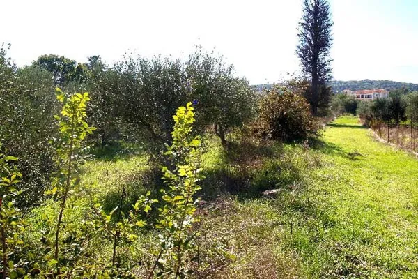 Seafront 2,045 m² Plot of Land for Sale in Vamos, Apokoronas — photo 4