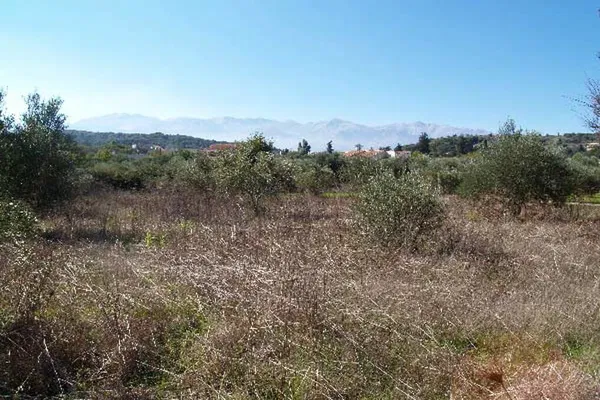 Seafront 2,045 m² Plot of Land for Sale in Vamos, Apokoronas — photo 5