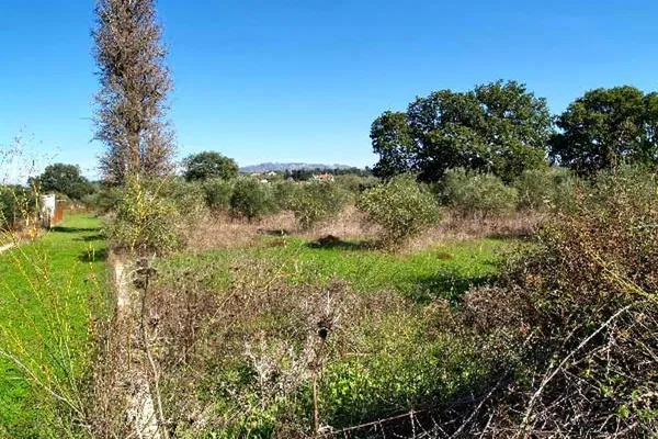 Seafront 2,045 m² Plot of Land for Sale in Vamos, Apokoronas